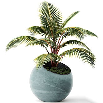 green plant potted plant green plant flowerpot potted bonsai banana tree flower tank leaves 3d model