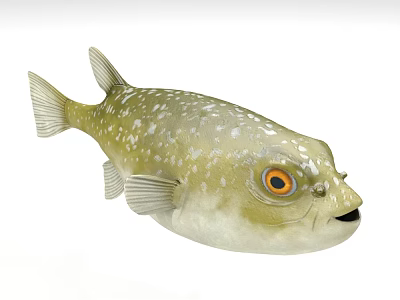 Yellowish White Spotted Pufferfish with Orange Eyes Open Mouth and Fins 3d model