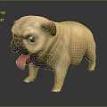 Cute Light Brown Pug Dog With Big Eyes And Tongue Sticking Out On Dark Background