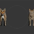 Four Realistic Fox Figurines in Standing Pose with Brown and Gray Fur on White Background