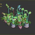 Colorful Orchids with Various Colored Flowers in Pink Ceramic Pots and Lush Green Leaves