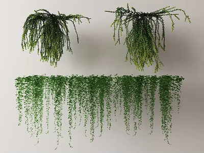 Lush Green Hanging And Trailing Vines With Dense Leaves And Foliage 3d model