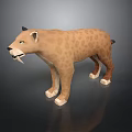 3D Saber Toothed Tiger Model with Tan Spotted Fur Long Tusks and Standing Pose