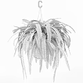 Fresh Lush Cascading Hanging Basket Fern Plant for Indoor Greenery Decor