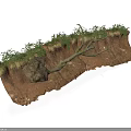 Modern Soil Profile Model With Grass Rock And Tree Roots