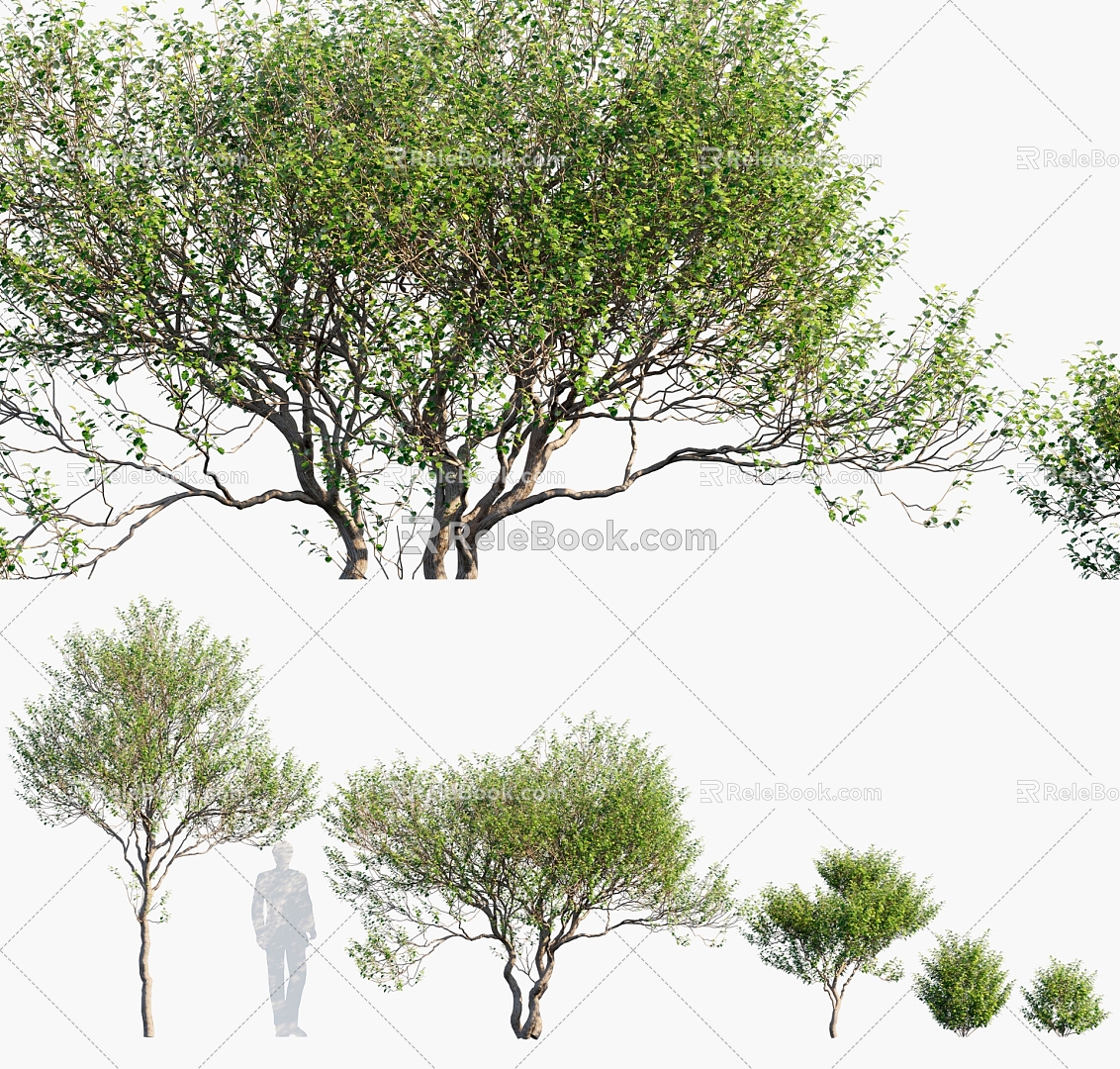 Modern Tree Landscape Tree 3d model