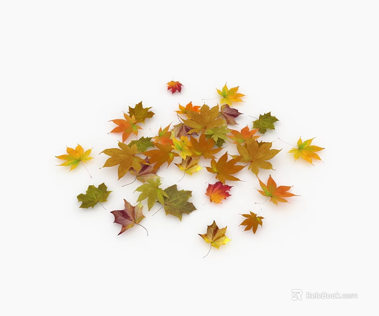 Vibrant Multicolored Autumn Leaves Scattered as Ground Cover on White Surface 3d model 