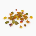 Vibrant Multicolored Autumn Leaves Scattered as Ground Cover on White Surface