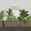 Wooden Planters with Lush Green Plants Ferns and Foliage for Indoor Decor