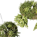 Modern Stylish Pendant Lights With White Planter Base And Lush Hanging Green Vines