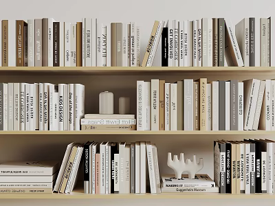 Organized Bookshelf Display With Books and Magazines of Various Colors Sizes and Decorative Accents 3d model