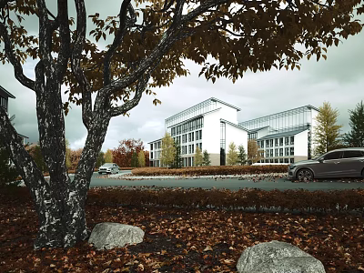 Modern Office Building Exterior With Autumn Fallen Leaves Trees And Parked Car 3d model