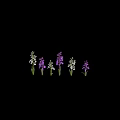 Decorative Garden Ornaments With Purple And White Flowers And Green Stems Leaves