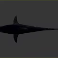 Realistic Shark With Open Mouth Sharp Teeth Dorsal Fin And Streamlined Body Structure 3d model