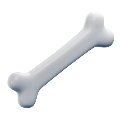 White Human Limb Bone Model For Medical Anatomy Education And Study 3d model