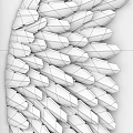 Modern Minimalist White Wing Shaped Wall Decor with Frames for Home Decoration 3d model