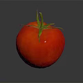 Fresh Ripe Red Tomato Vegetable with Green Stem on Dark Reflective Background