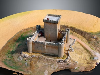 Cartoon Castle Scene Featuring Tower Walls Golden Field And Surrounding Path 3d model