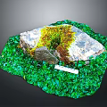 Natural Moss Covered Stone Surrounded by Green Plants and Ruler