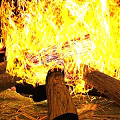 Cozy Garden Bonfire Scene With Burning Flames Logs And Dry Grass On Dark Ground