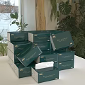 Stacked Green Decorative Tissue Boxes With Natural Plants In Home Setting