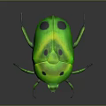 Vibrant Green Beetle with Glossy Shell and Black Spots Displaying Shiny Body on Dark Background