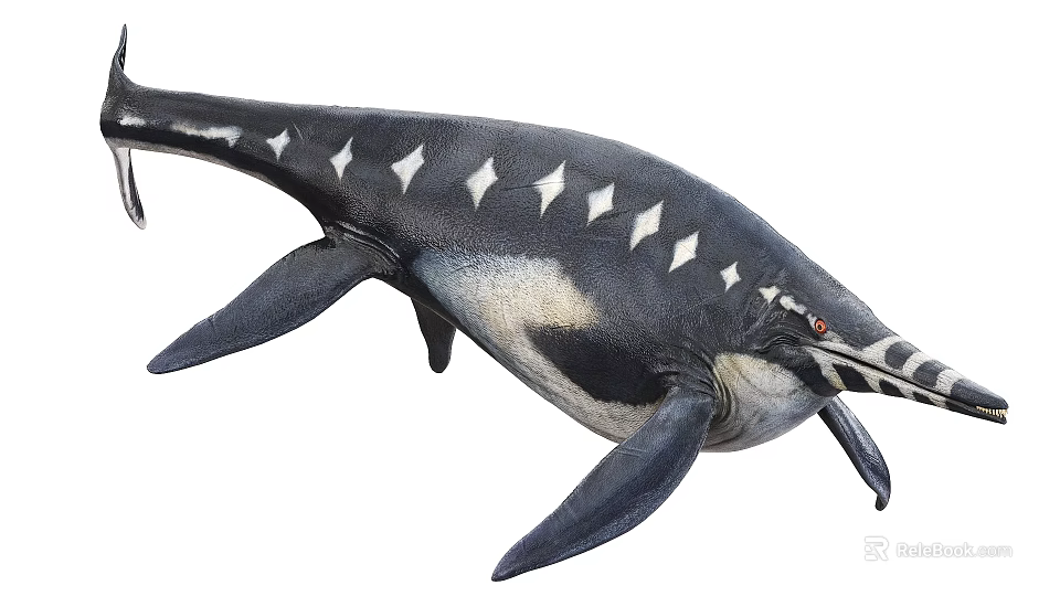 Streamlined Black And White Aquatic Animal With Dorsal Spikes And Fin Limbs 3d model 