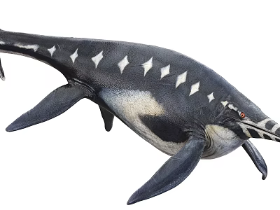 Streamlined Black And White Aquatic Animal With Dorsal Spikes And Fin Limbs 3d model