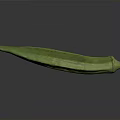 Fresh Green Okra Displayed with Natural Texture on Smooth Dark Surface 3d model