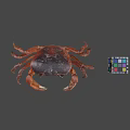 Realistic Brown Crab With Colorful Rubik's Cube On Gray Background