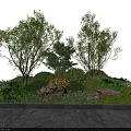 Lush Green Shrubs With Mixed Plants Rocks And Stone Pathway In Garden Landscaping