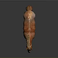 Brown Horse With Light Mane Standing On Dark Reflective Surface With White Hooves