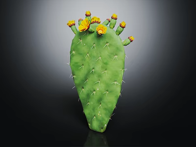 Green Cactus Plant With Thorns And Yellow Flowers On Dark Background 3d model