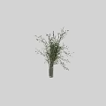 Decorative Ornament Set With Green Leafy Branches In Transparent Glass Vases For Interior Decor