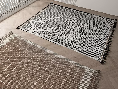 Two Square Rugs With Different Patterns And Fringes On Wooden Floor 3d model