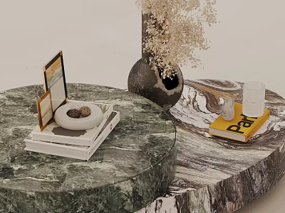 Marble Coffee Table Set Round and Irregular Shapes with Vase Dried Flowers Book Jewelry Box 3d model