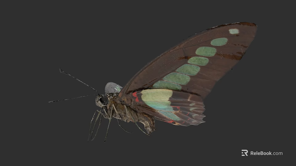 Beautiful Flying Butterfly With Brown Wings Green Spots And Red Accents 3d model 