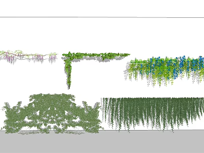 Diverse Climbing And Hanging Garden Vines With Green Purple Blue Foliage 3d model