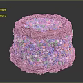 Delicious Round Chocolate Cake With Rich Frosting And Colorful Sprinkles