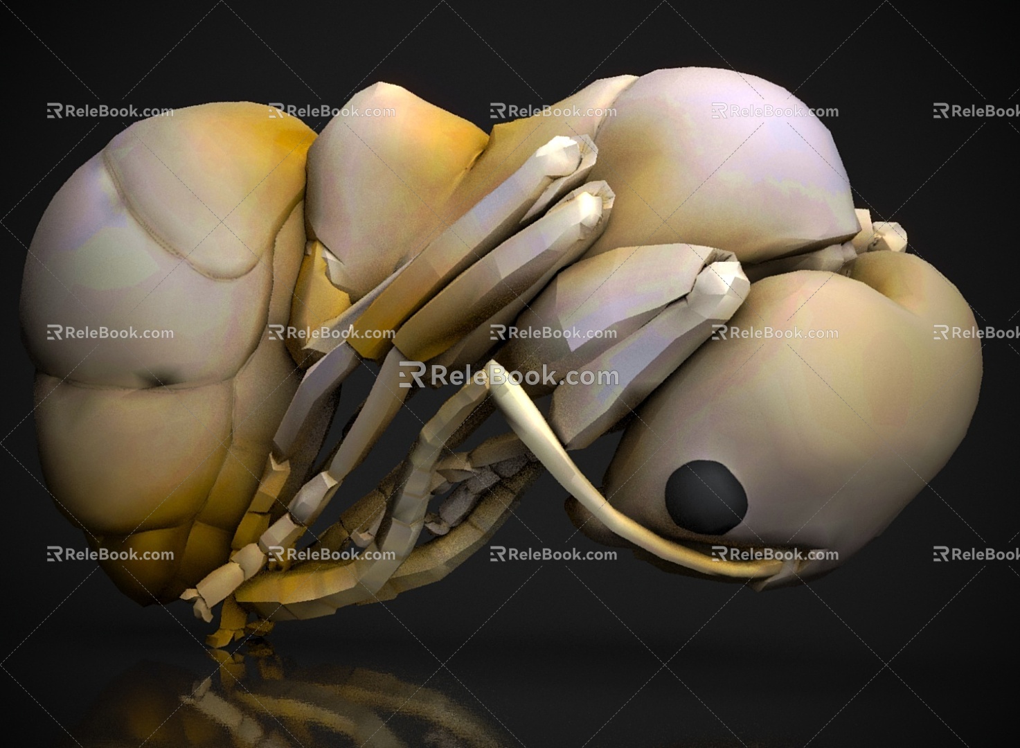 ant insect 3d model