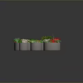 Variety of Potted Plants with Colorful Leaves in Gray Pots