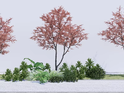 Ornamental Trees With Vibrant Red Leaves Surrounded By Green Shrubs And Grass 3d model