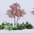 Ornamental Trees With Vibrant Red Leaves Surrounded By Green Shrubs And Grass
