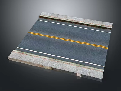 Standard Road Section With Yellow Center Line White Lane Markings And Curb Stones 3d model