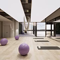 Modern Gym Fitness Area With Purple Exercise Balls Treadmills Yoga Mats Hanging Hammocks And Mirrors