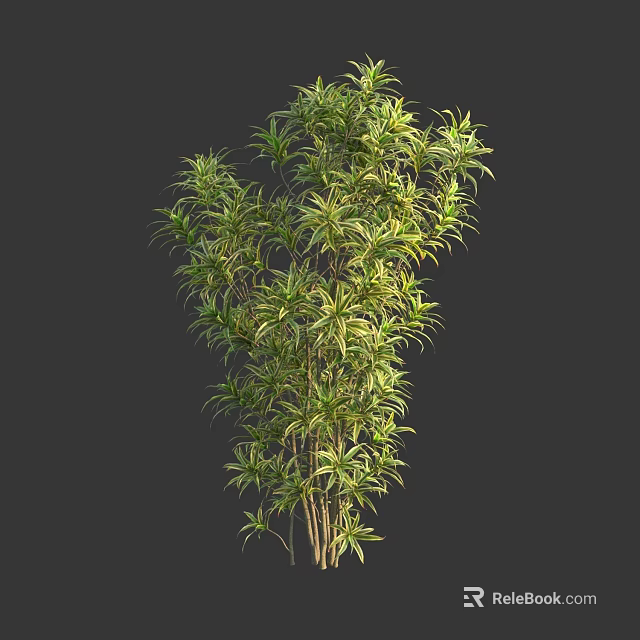 Vibrant Green Shrub with Long Slender Leaves and Lush Dense Foliage 3d model 