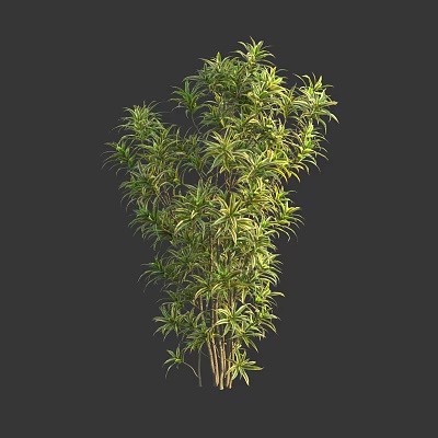 modern lily bamboo short-leaf bamboo banana 3d model modern lily bamboo short-leaf bamboo banana 3d model
