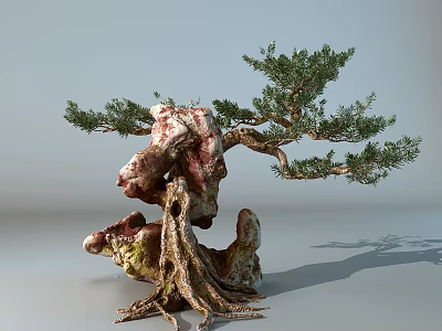 Artistic Arbor With Exposed Twisted Roots Red White Rock And Lush Green Foliage 3d model