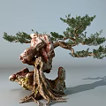 Artistic Arbor With Exposed Twisted Roots Red White Rock And Lush Green Foliage