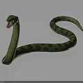 Green Snake With Open Mouth And Black Spots On Its Long Body Against Dark Background